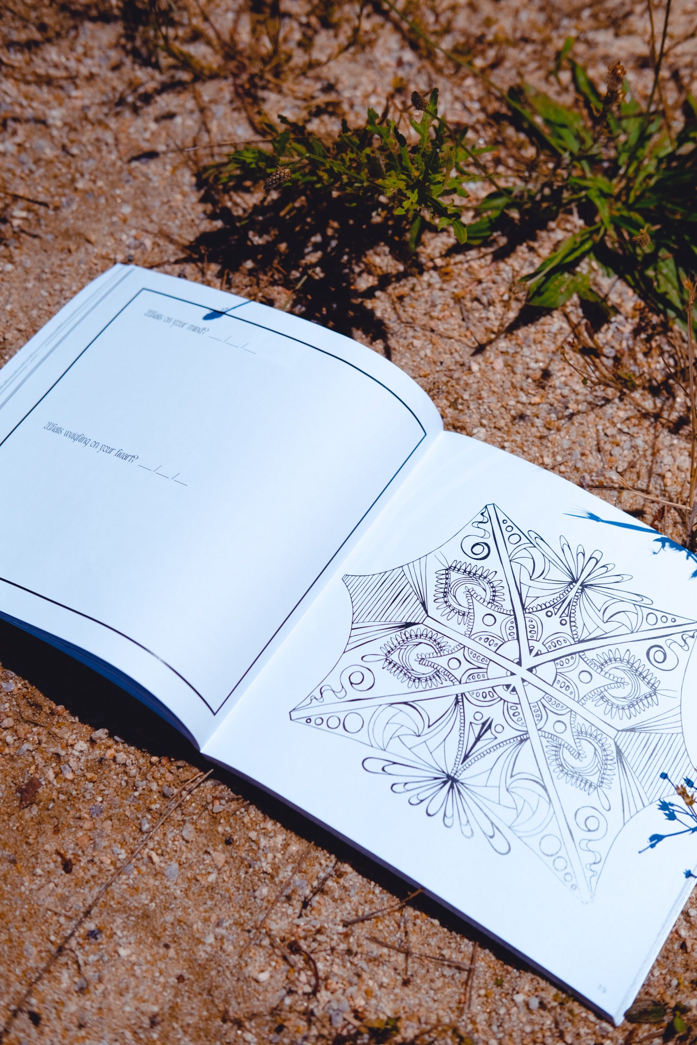 Eunoia: Beautiful Thinking; a well mind [a Mindful Coloring book]