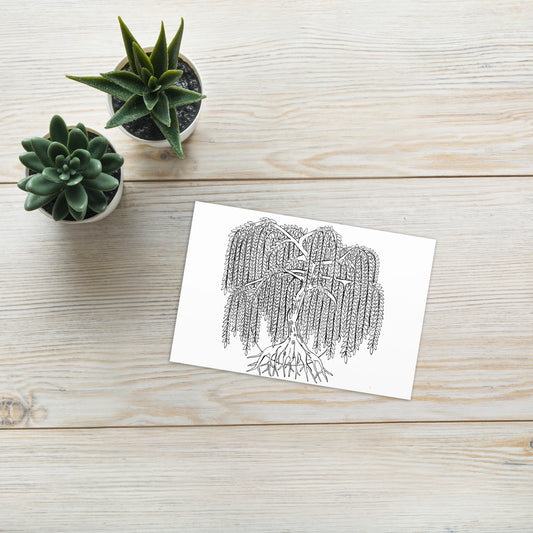 Weeping Willow Greeting card