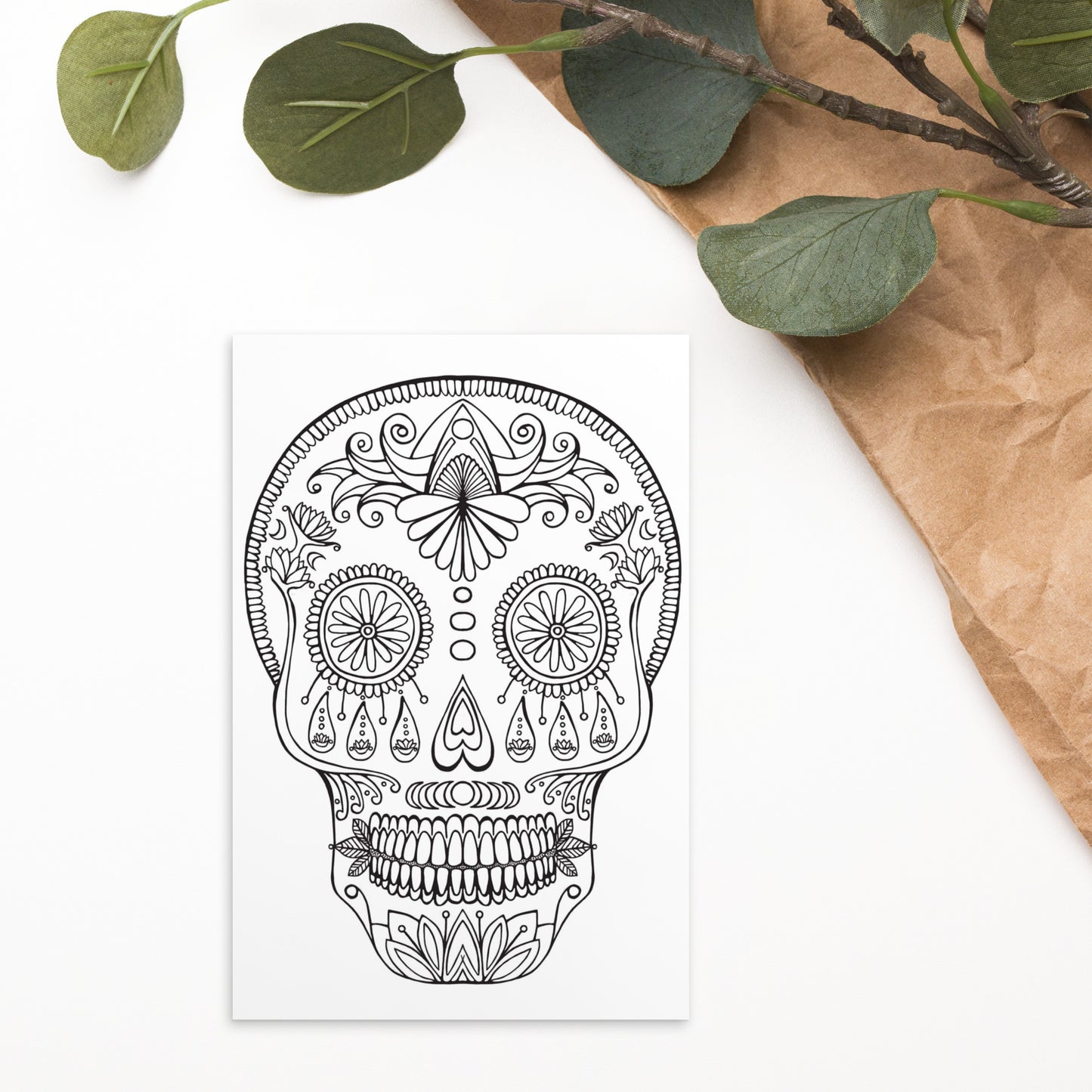 Skull Postcard